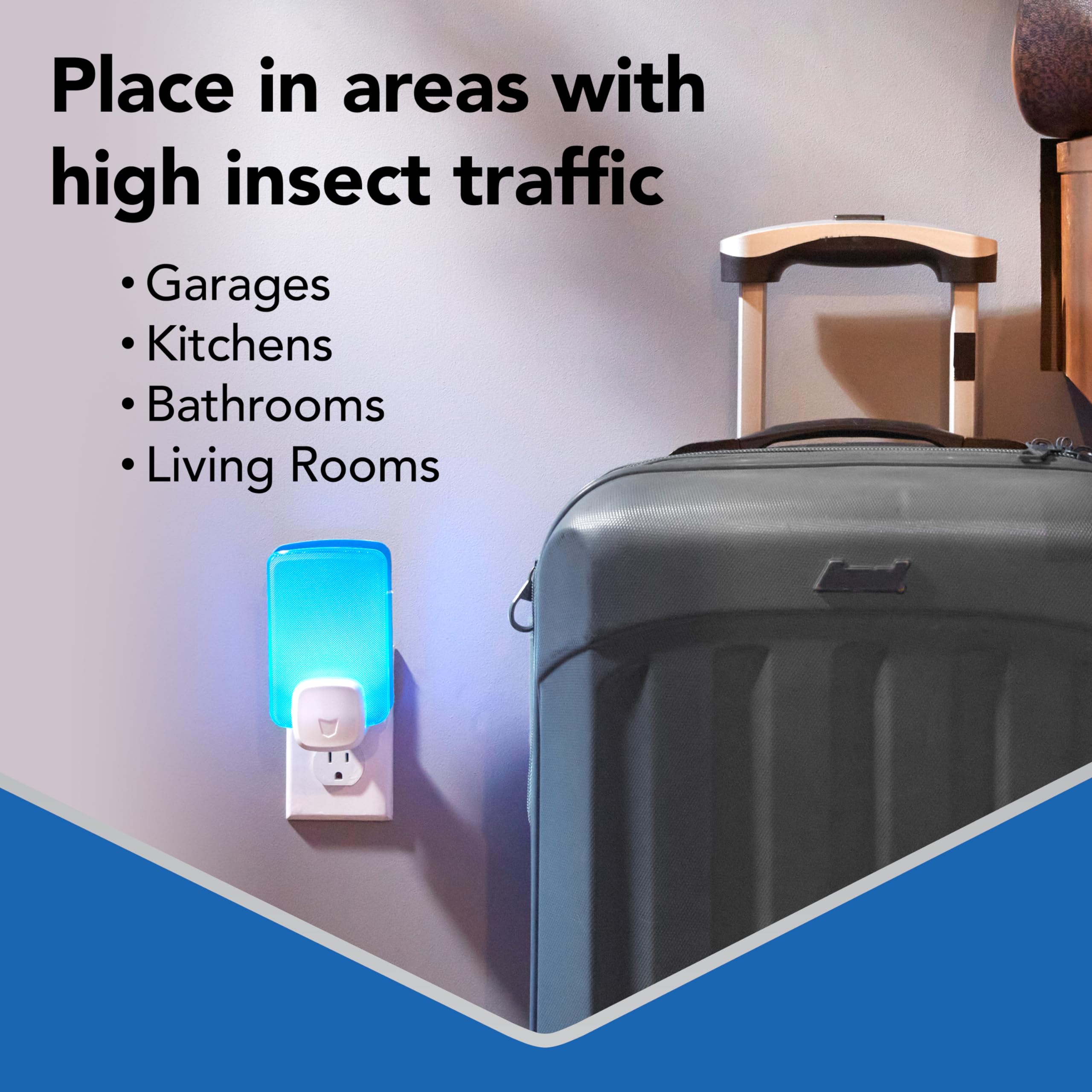 Raid comparación de tamaño con una taza para ubicar escala real