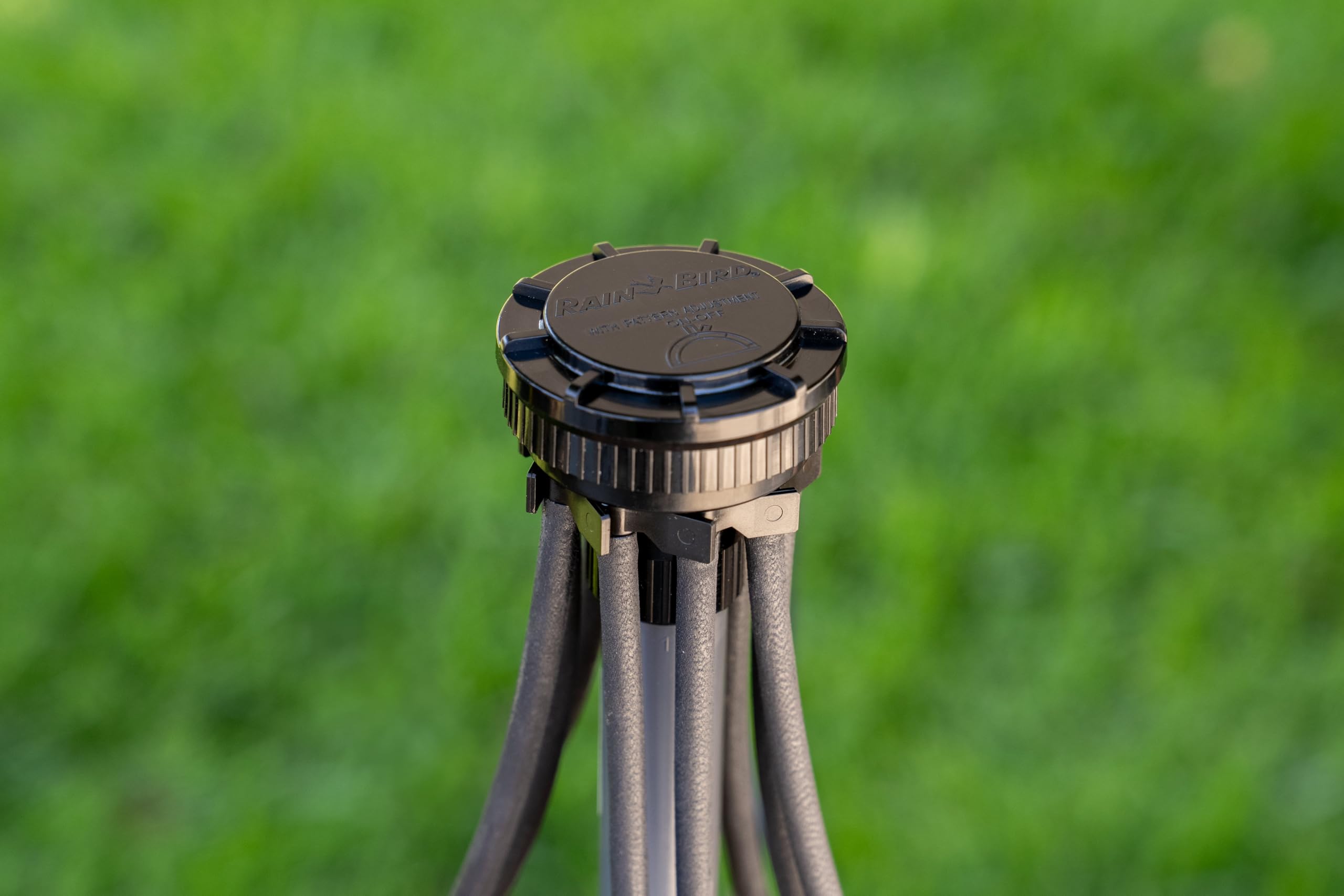 Rain Bird manifold instalado en jardinera demostrando riego localizado efectivo