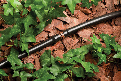 Rain Bird ramal de 1/4" conectado para riego puntual y flexibilidad