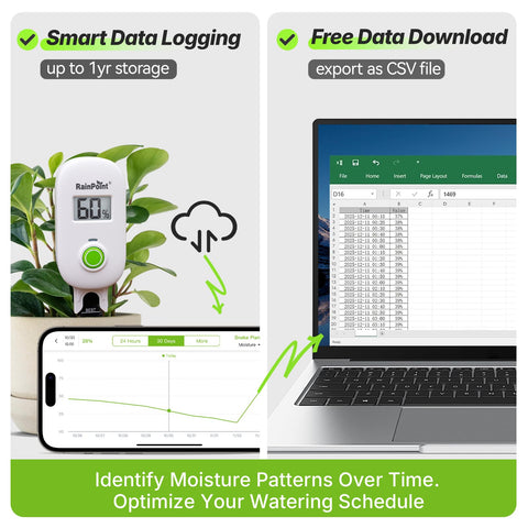 RAINPOINT comparación de tamaño para entender proporciones y montaje