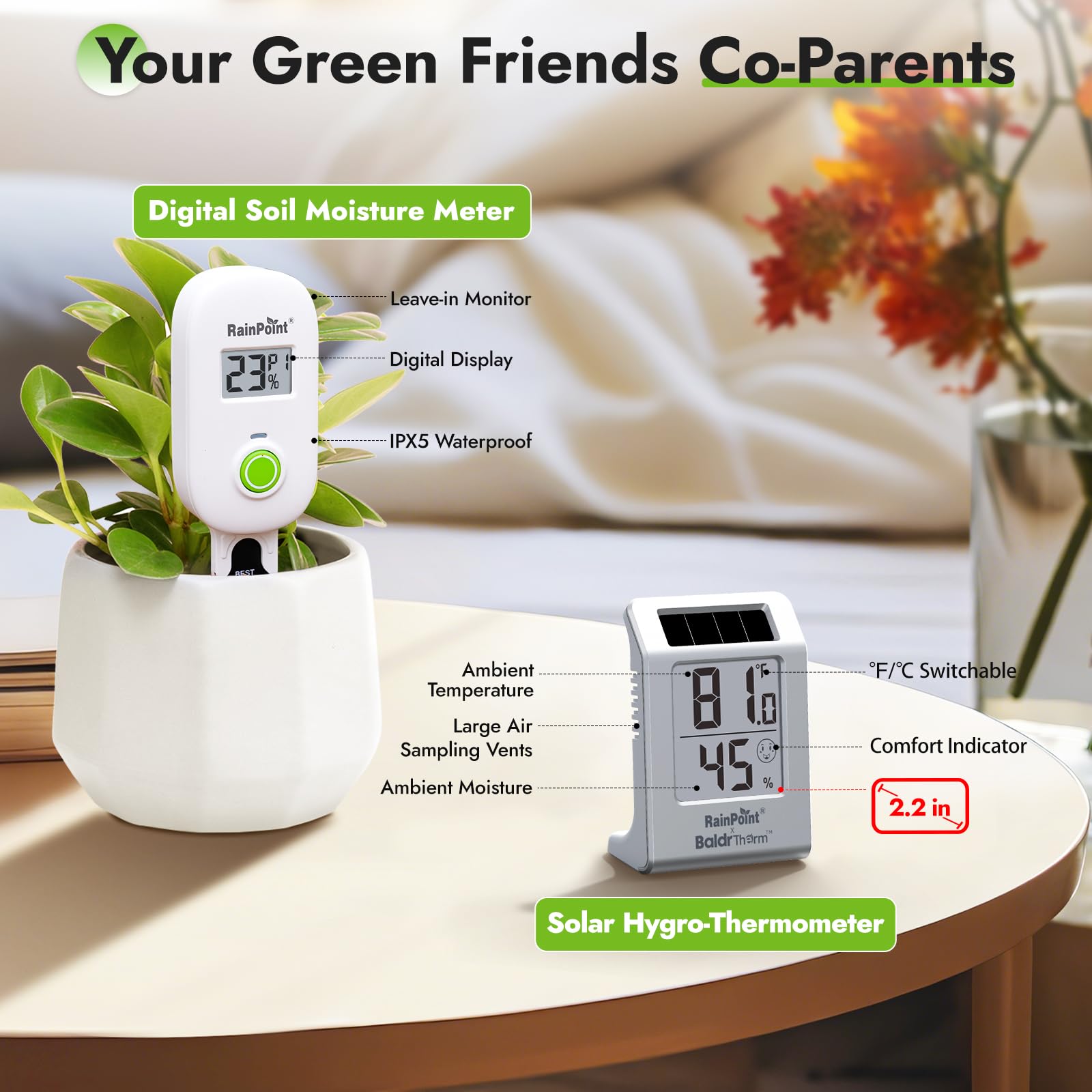 RAINPOINT lectura en ambiente interior para controlar microclima con exactitud