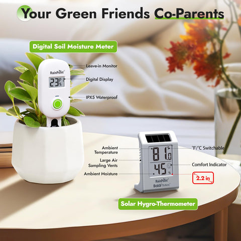 RAINPOINT lectura en ambiente interior para controlar microclima con exactitud