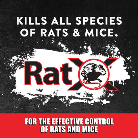 RatX pellets en mano para visualizar tamaño y cantidad práctica