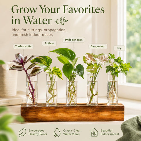 Renmxj en cocina decorativa integrando plantas y funcionalidad