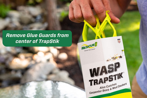 RESCUE! comparación de tamaño de TrapStik para valorar cobertura