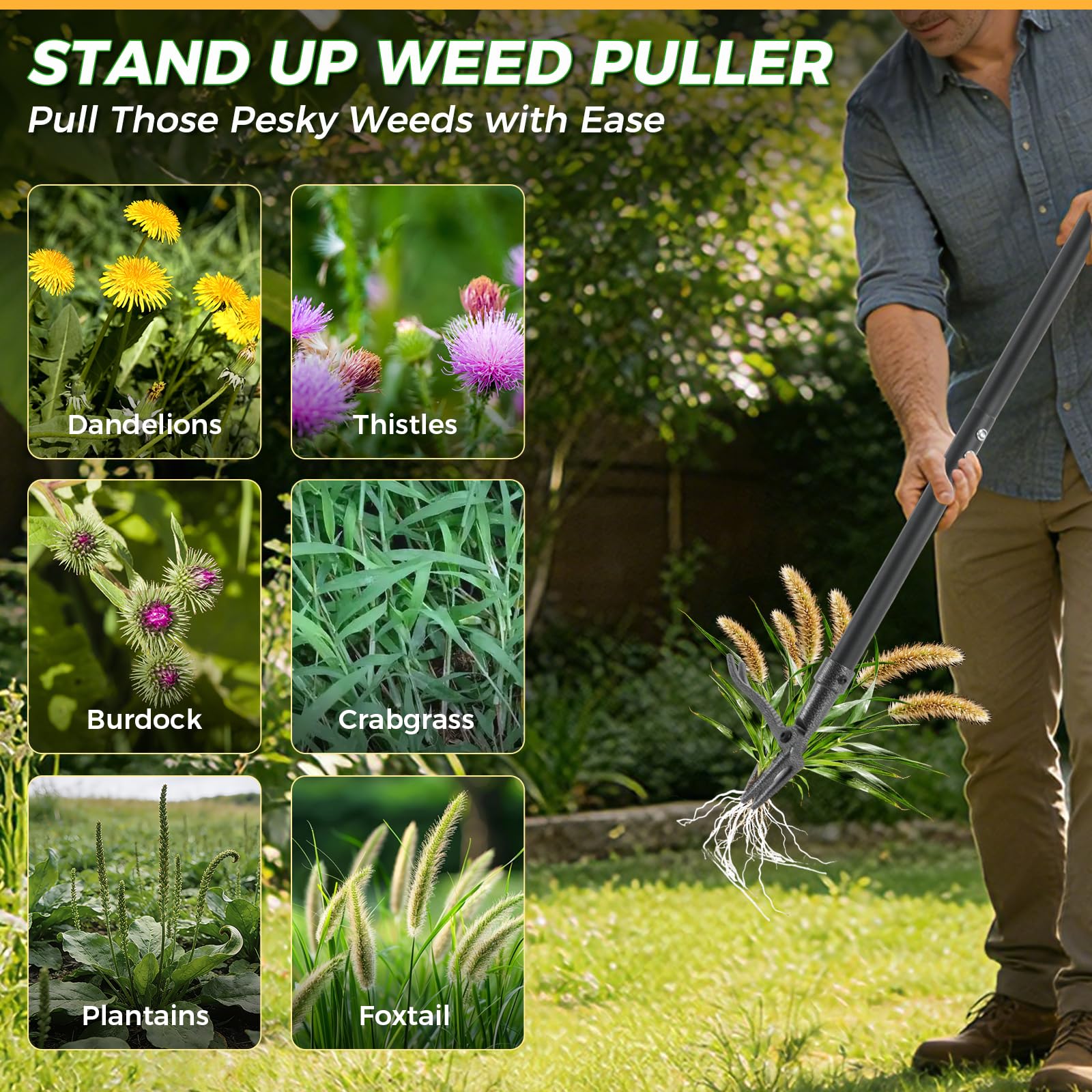 RexWeed primer plano del acero reforzado que garantiza durabilidad