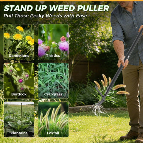 RexWeed primer plano del acero reforzado que garantiza durabilidad