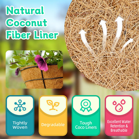Riare forro de coco colocado en cesta colgante con plantas, aspecto funcional