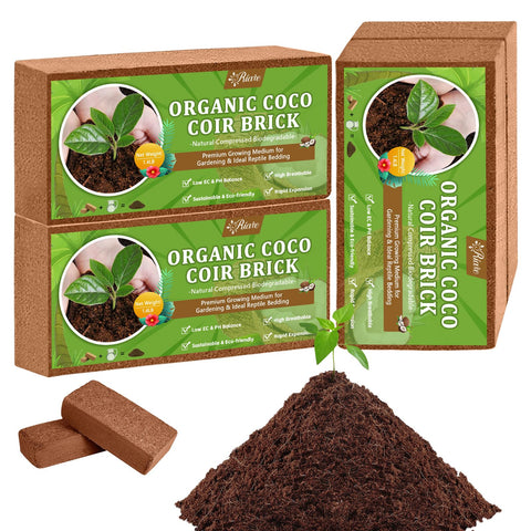Riare paquete frontal de 4 ladrillos de coco mostrando presentación y cantidad