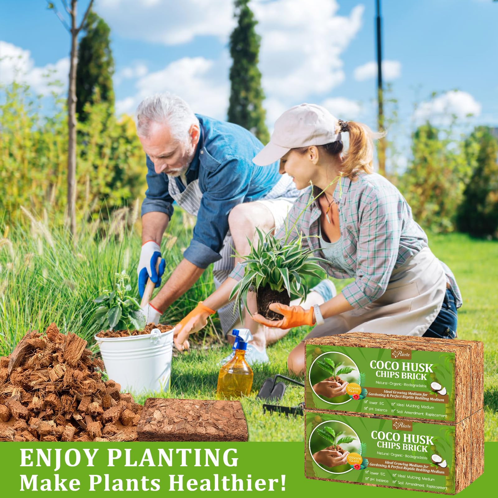 Riare macetas en ambiente doméstico con plantas saludables y aspecto natural