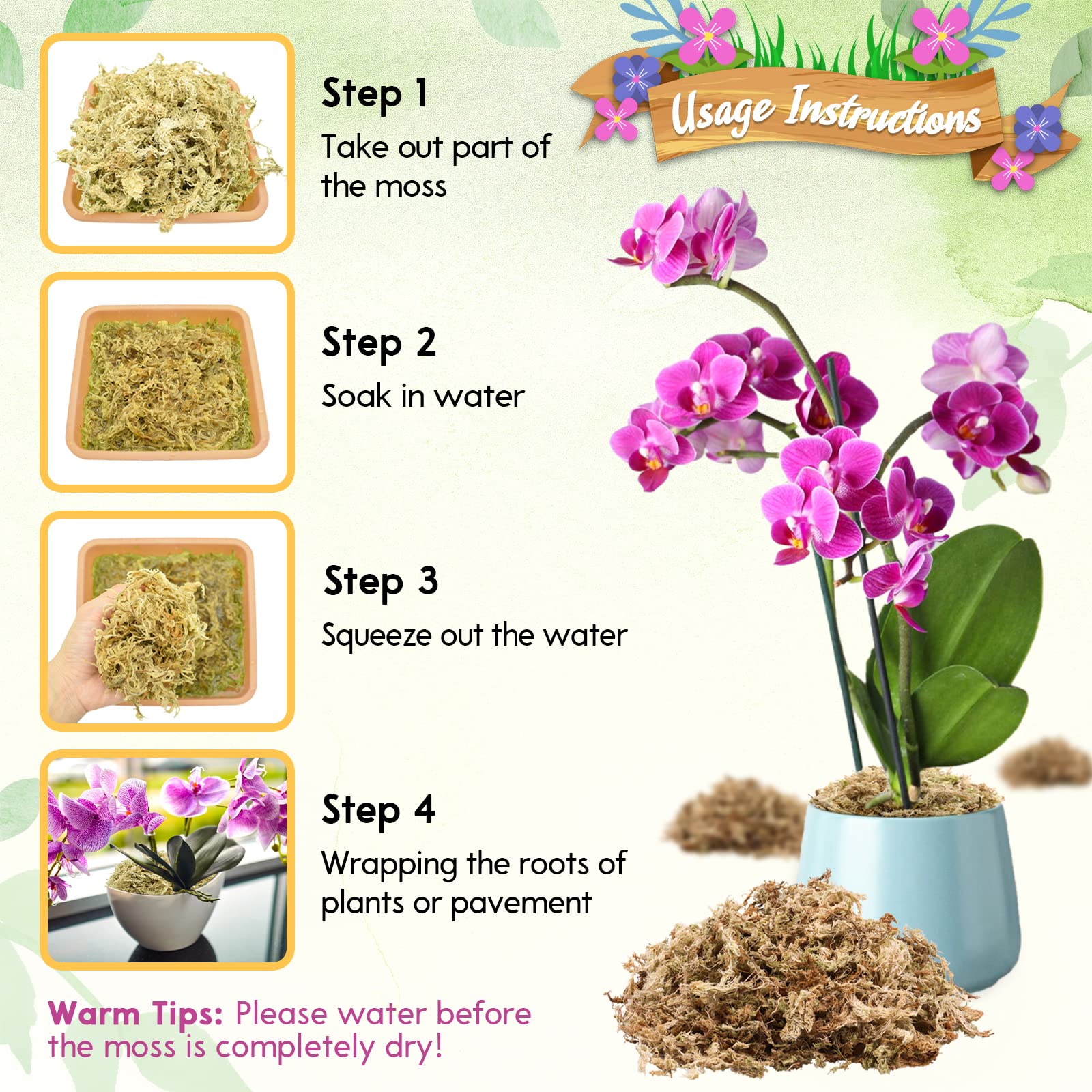 Riare musgo dentro de maceta con orquídea mejorando aireación