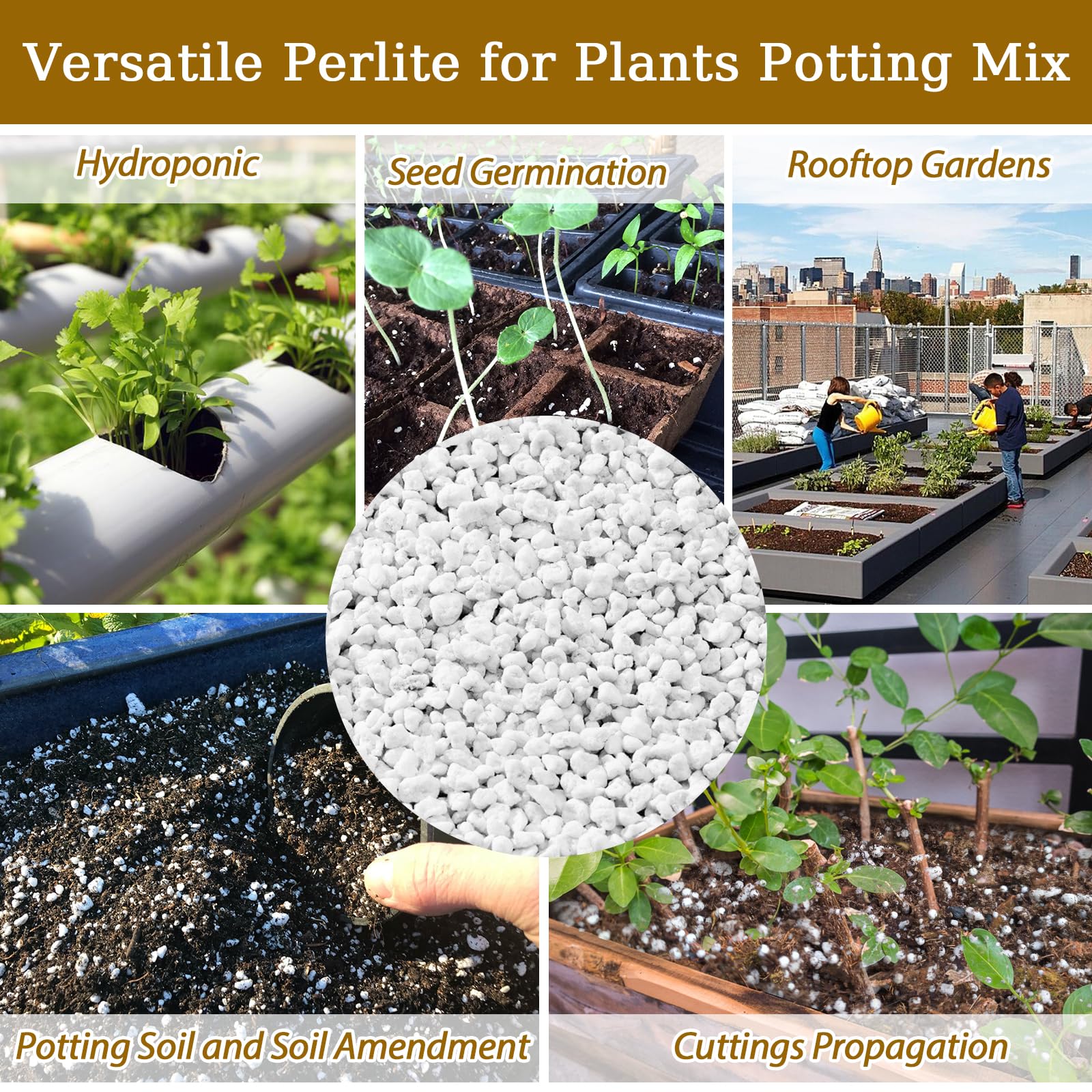 Riare perlita en ambiente de jardinería mejorando crecimiento