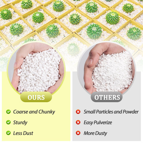 Riare maceta con suculentas usando perlite para evitar encharcamientos