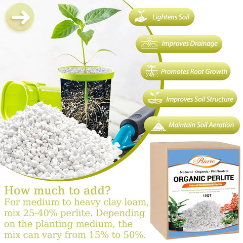 Riare manos vertiendo perlite en maceta para mejor oxigenación