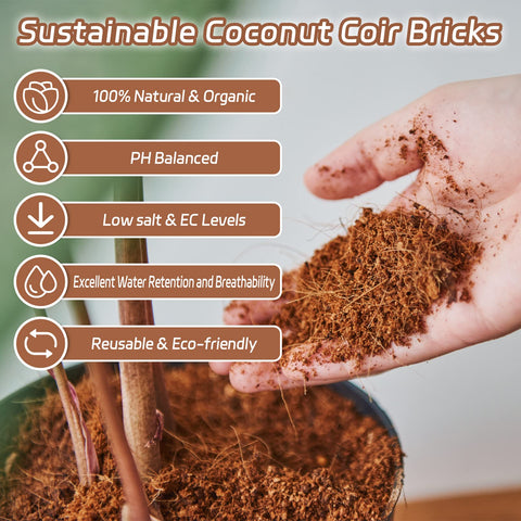 Riare semilleros y microgreens con crecimiento uniforme y raíces sanas
