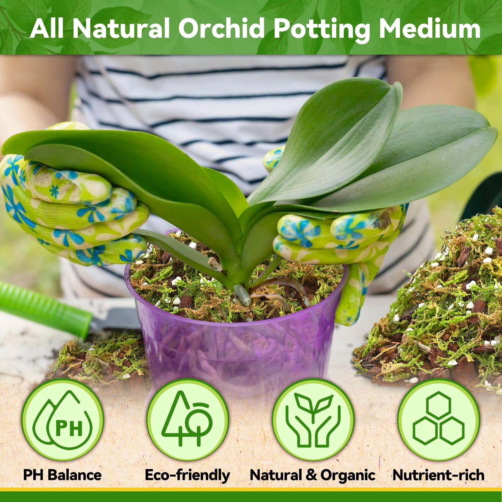 Riare mezcla usada en maceta con orquídea para trasplante rápido y seguro