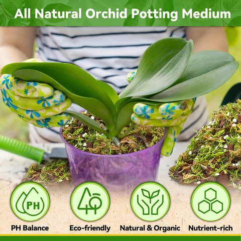Riare mezcla usada en maceta con orquídea para trasplante rápido y seguro