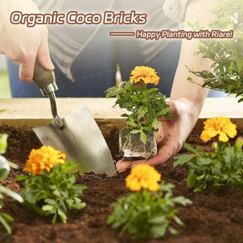 Riare uso en vermicompostaje mejorando estructura y aeración del compost