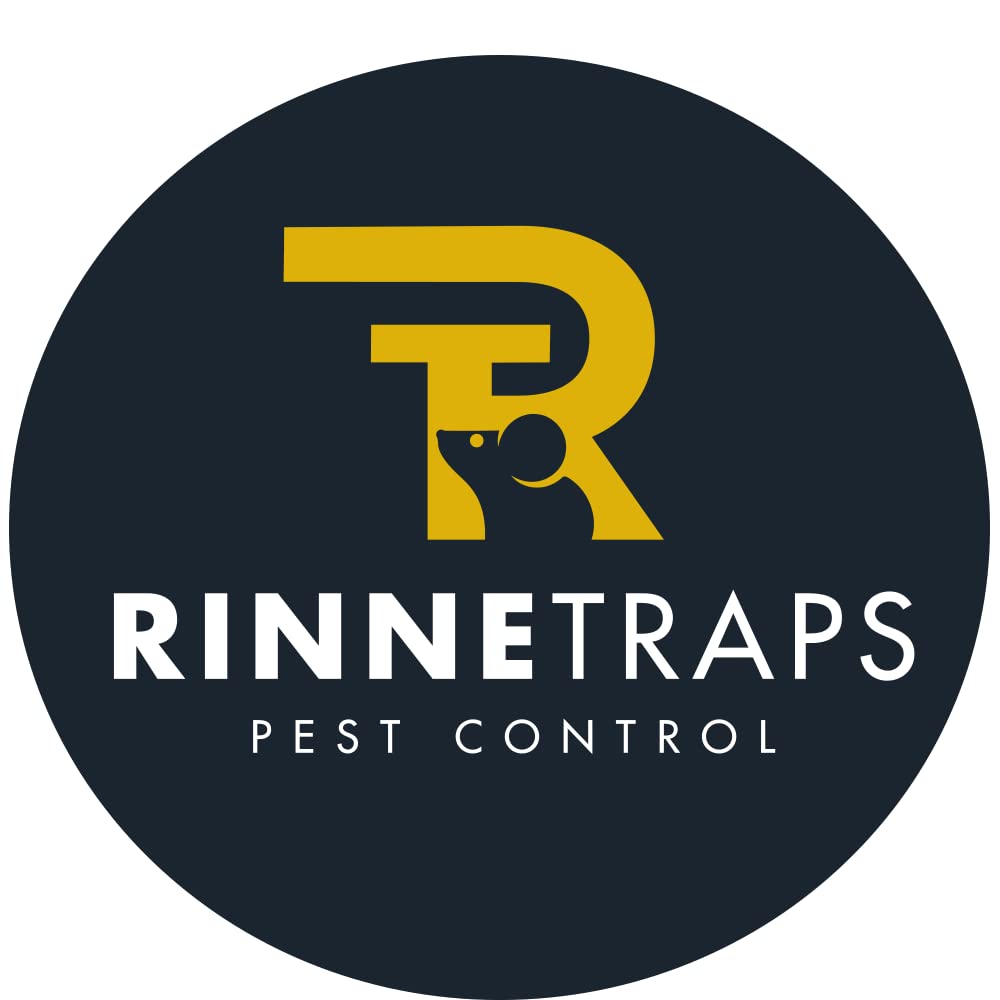 RinneTraps en ambiente hogareño ofreciendo control sin veneno ni olores