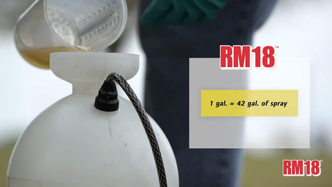RM18 botella junto a objeto cotidiano para comparar tamaño