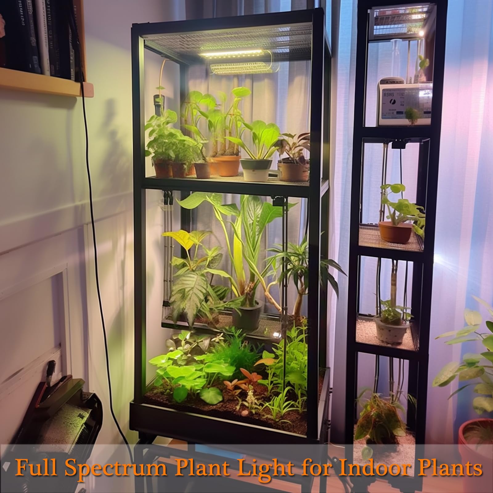 Rocoking luz sobre cultivo de ensaladas mejora germinación y textura