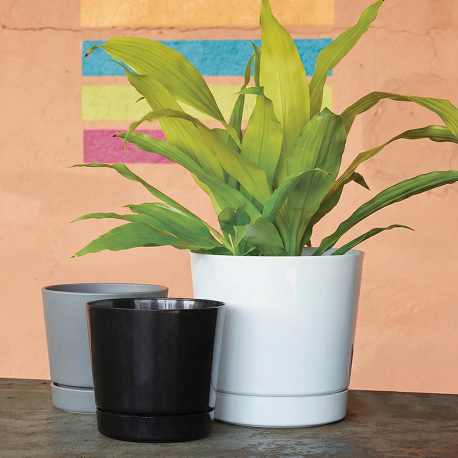Root & Vessel maceta en terraza con planta, bandeja protegiendo superficie