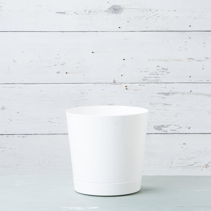 Root & Vessel bandeja integrada visible, protege superficies contra agua