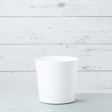 Root & Vessel bandeja integrada visible, protege superficies contra agua