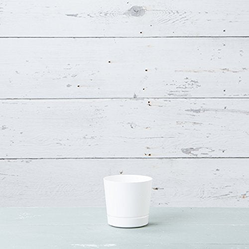 Root & Vessel bandeja integrada que protege suelos y superficies del agua