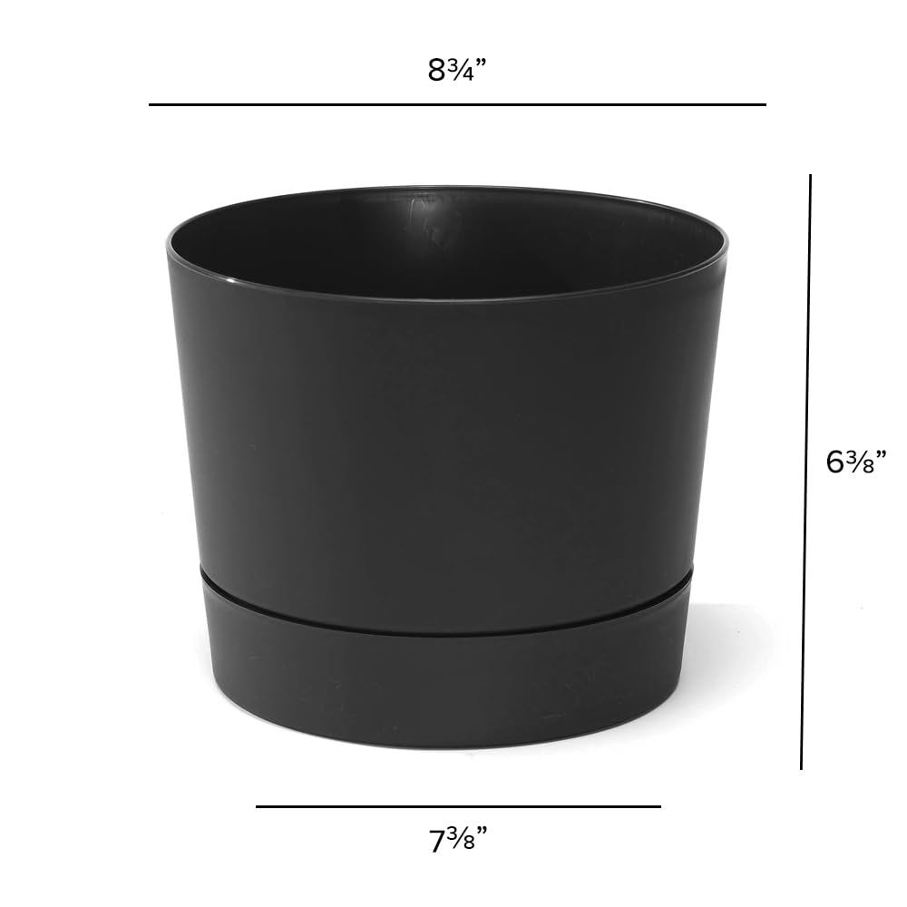 Root & Vessel maceta al lado de una mano para mostrar escala práctica