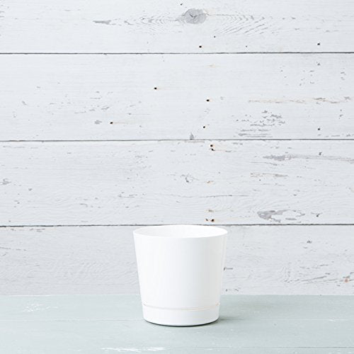 Root & Vessel vista inferior con bandeja integrada que protege superficies