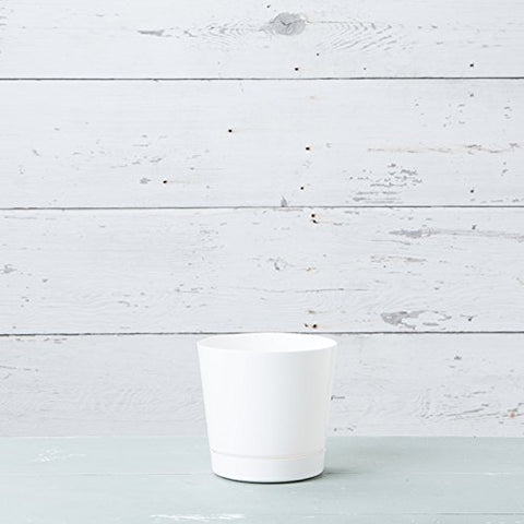 Root & Vessel vista inferior con bandeja integrada que protege superficies
