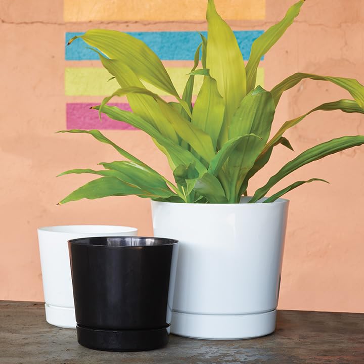 Root & Vessel maceta en sala decorada aportando elegancia y orden