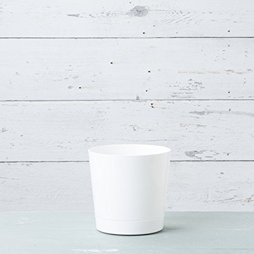 Root & Vessel bandeja incorporada que protege superficies y recoge agua