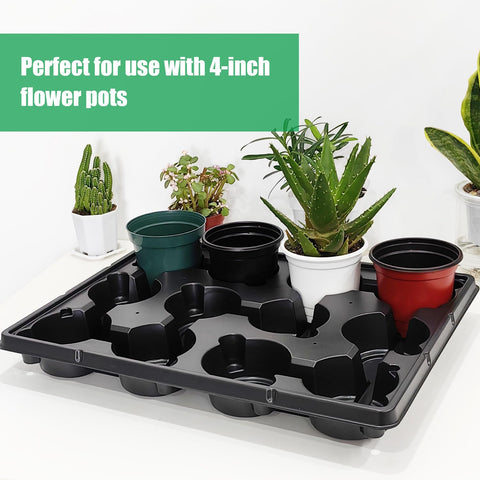 RooTrimmer ambiente de vivero con bandejas organizadas ahorra tiempo