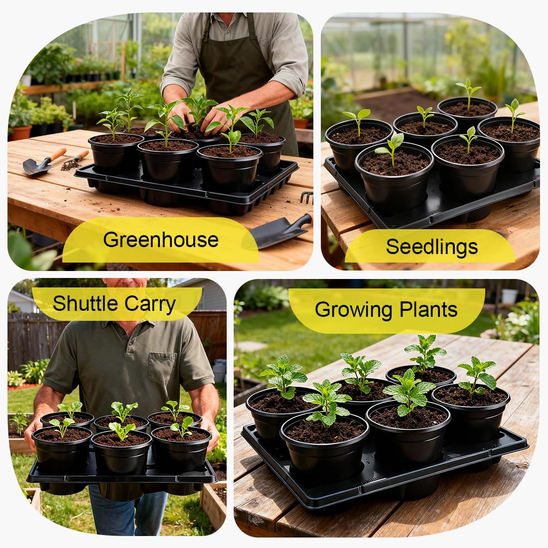 RooTrimmer conjunto en vivero creando organización y ahorro de espacio