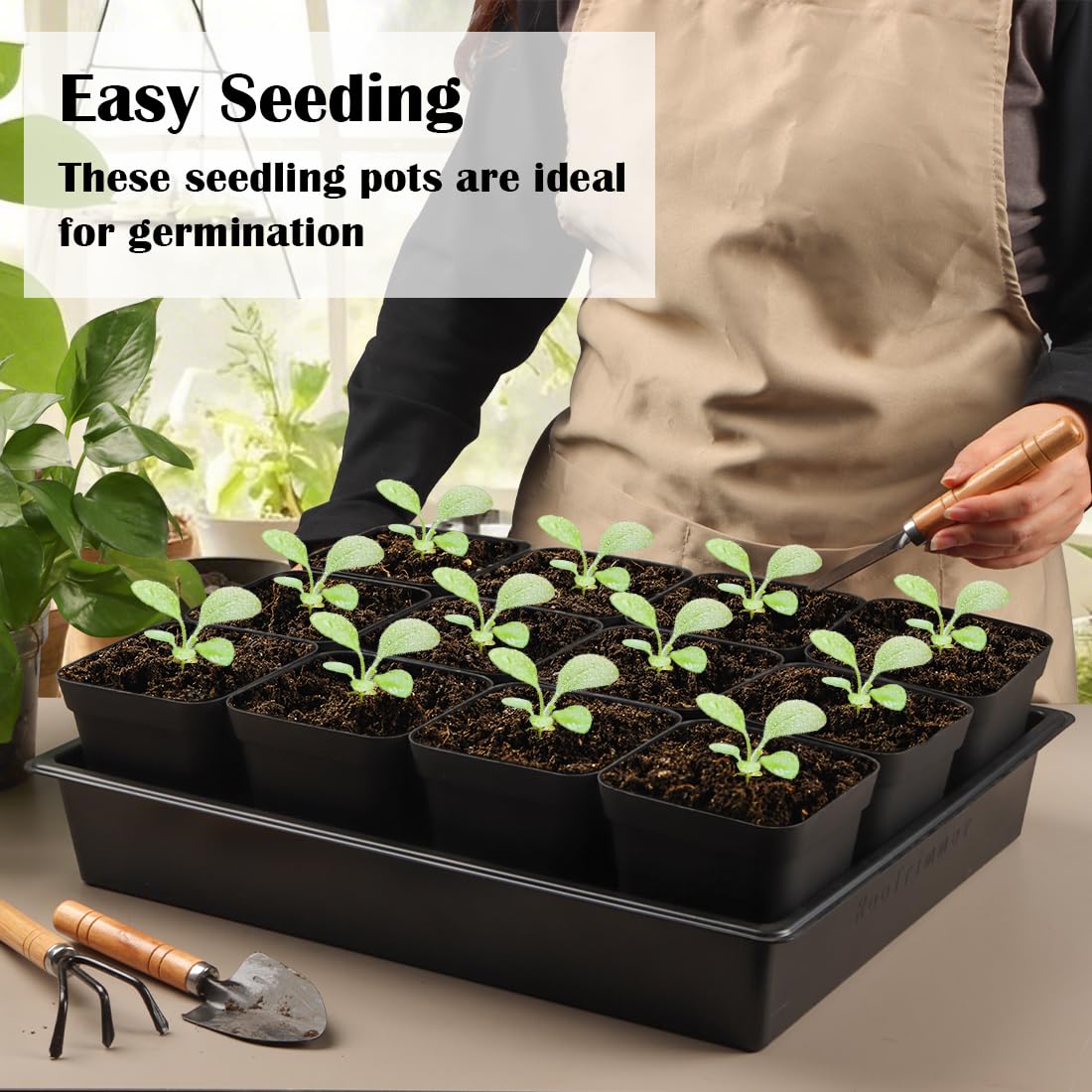 RooTrimmer bandejas apiladas optimizando espacio en mesa de cultivo