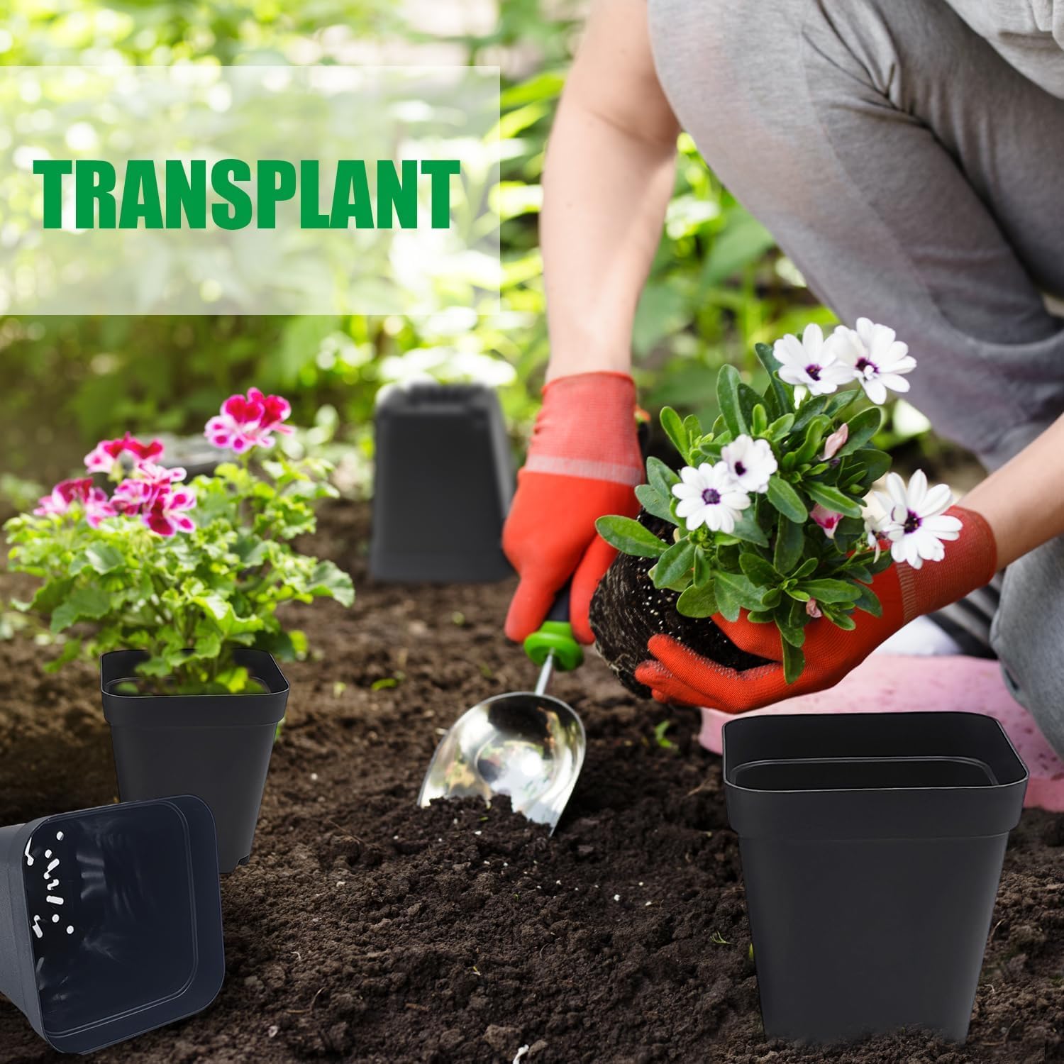 RooTrimmer en bandeja compatible optimiza espacio y manejo