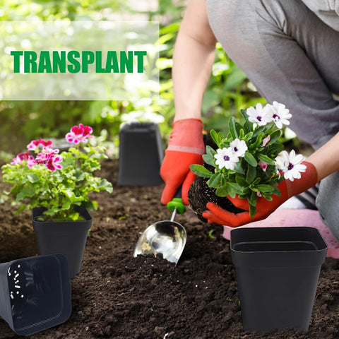 RooTrimmer en bandeja compatible optimiza espacio y manejo
