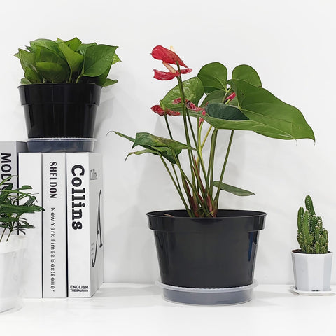 RooTrimmer comparación de tamaño con mano, visualiza escala útil