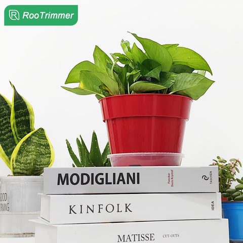 RooTrimmer conjunto de macetas en salón para decoración coordinada