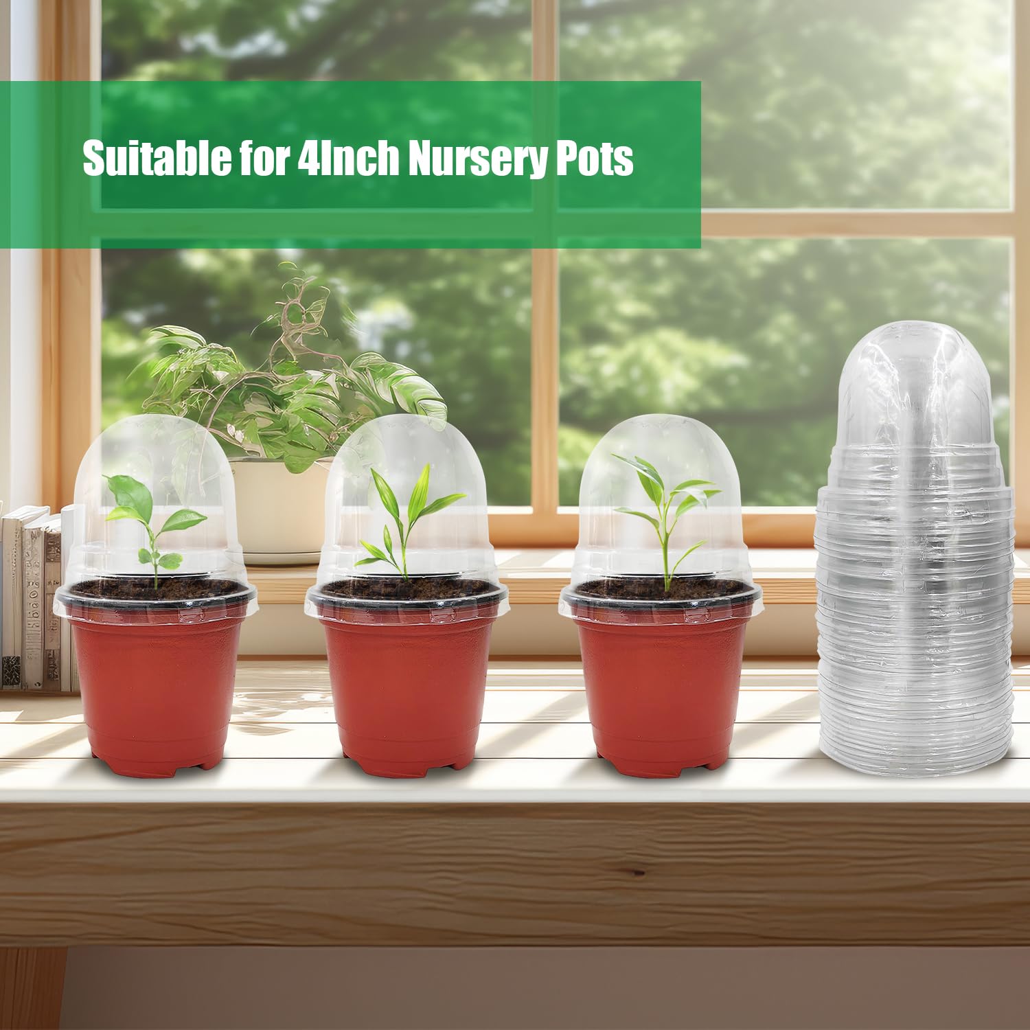 RooTrimmer domos en ambiente interior mejorando microclima de plantas