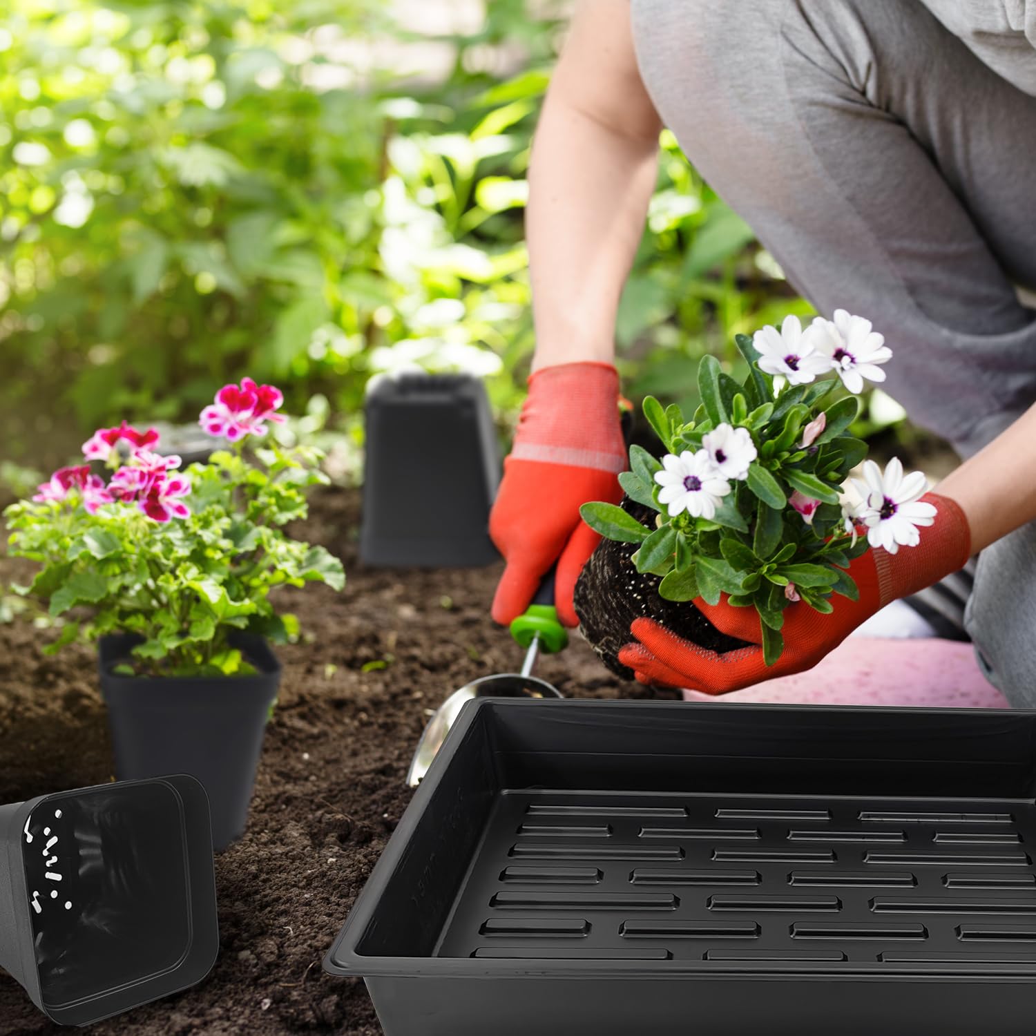 RooTrimmer etiqueta con dimensiones y medidas, información clara para trasplantes