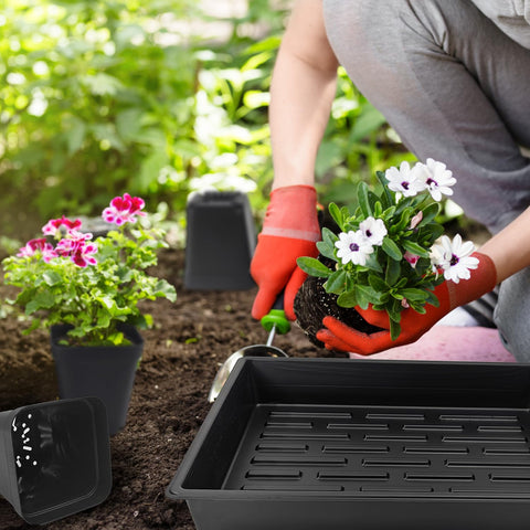 RooTrimmer etiqueta con dimensiones y medidas, información clara para trasplantes