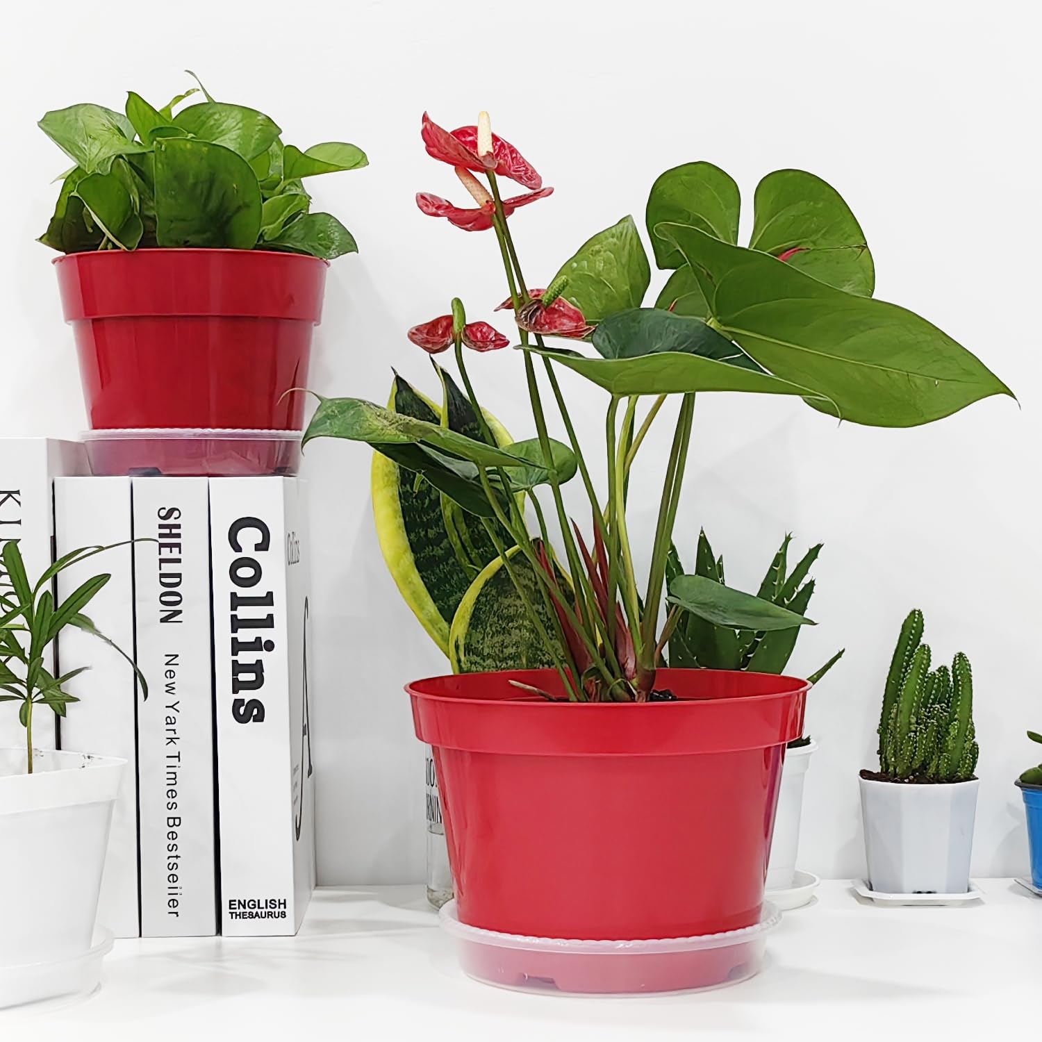 RooTrimmer etiqueta y base que muestran acabado y ajuste seguro