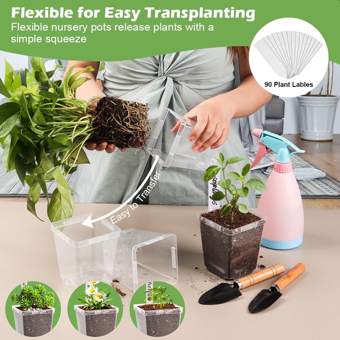 RooTrimmer etiquetas para plantas, identificación clara de cultivos