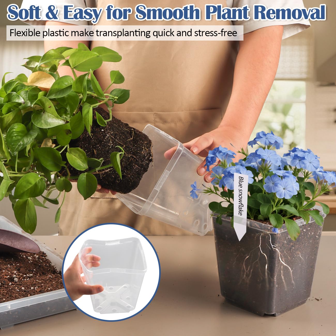 RooTrimmer etiquetas reutilizables para identificar plantas y evitar confusiones