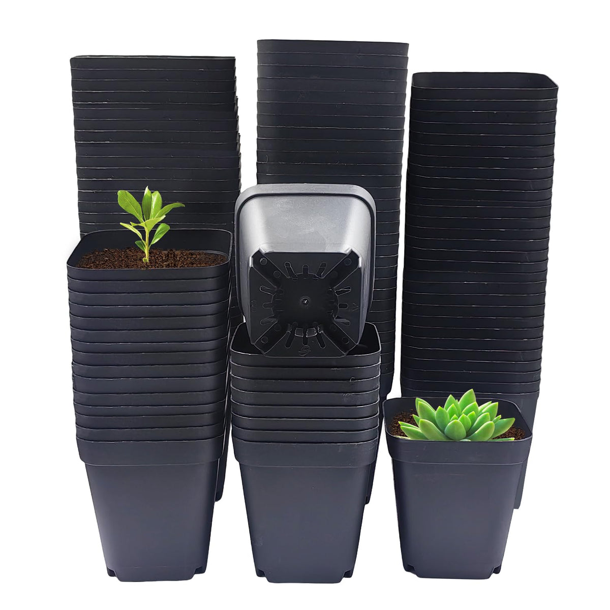 RooTrimmer frontal paquete 120 unidades muestra ahorro y cantidad