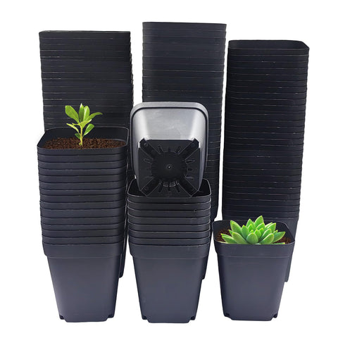 RooTrimmer frontal paquete 120 unidades muestra ahorro y cantidad