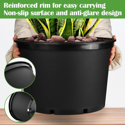 RooTrimmer maceta con planta de tomate, soporte para plantas grandes